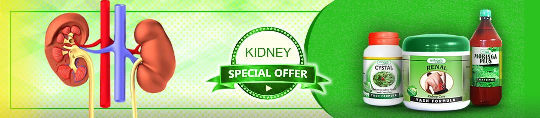 Diamed Diagnostical Centre Banner